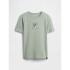 V-DISLOGO SPRING SS LIC GR SP DIS FAM ICEBURG