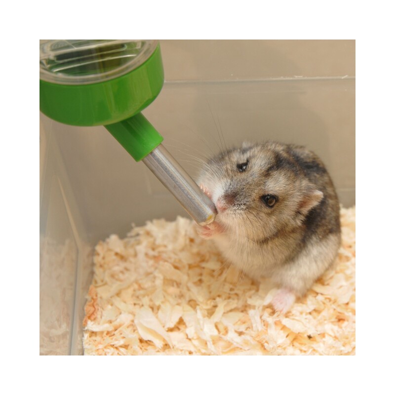 BEBEDERO HAMSTER BEBEDERO HAMSTER