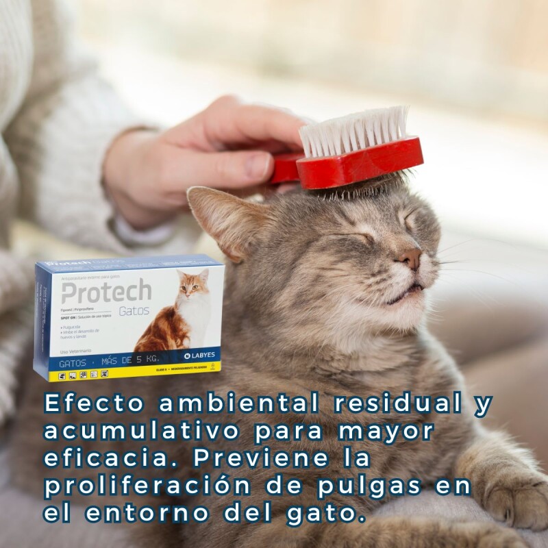 PROTECH PIPETA ANTIPULGAS CON ACCIÓN AMBIENTAL PARA GATOS MÁS DE 5 KG