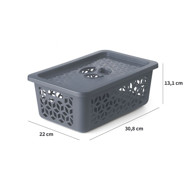 Caja organizadora con tapa M 5L GRIS