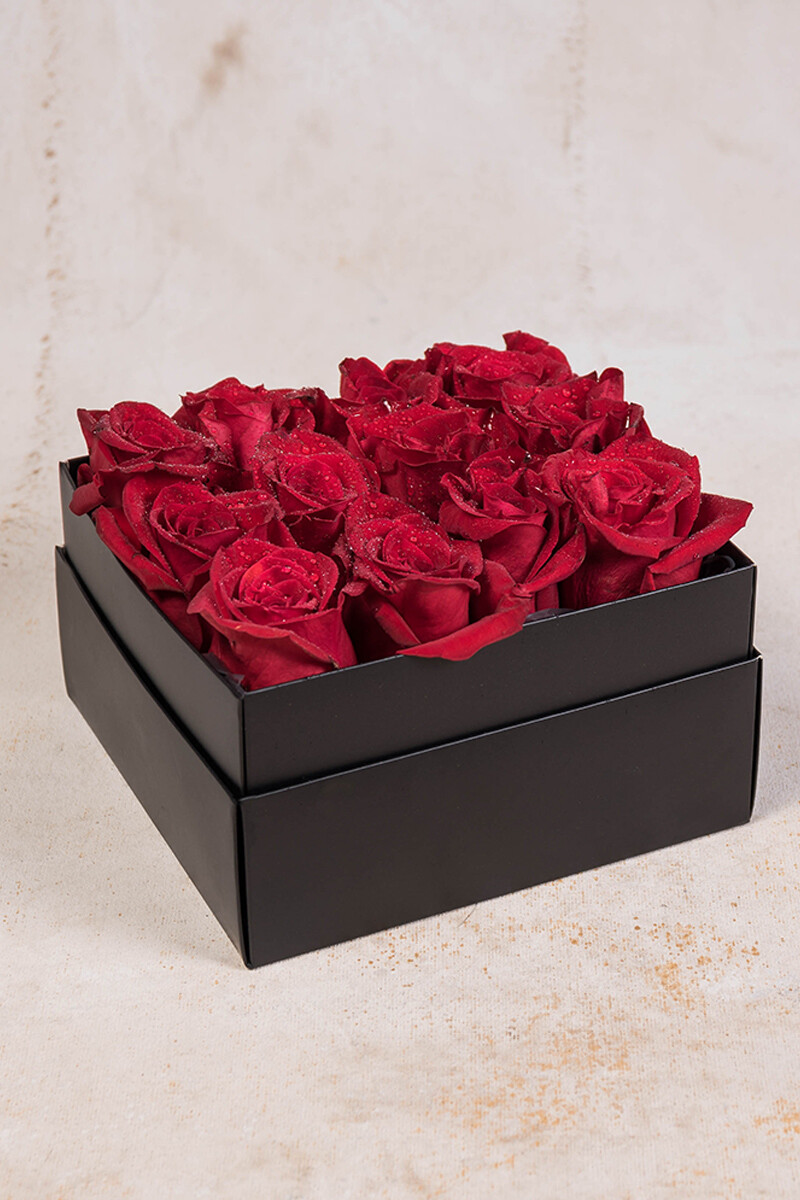 Box de 12 rosas rojas 