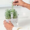 Organizador de heladera para condimentos transparente 1,5L OU Organizador De Heladera Para Condimentos Transparente 1,5l Ou
