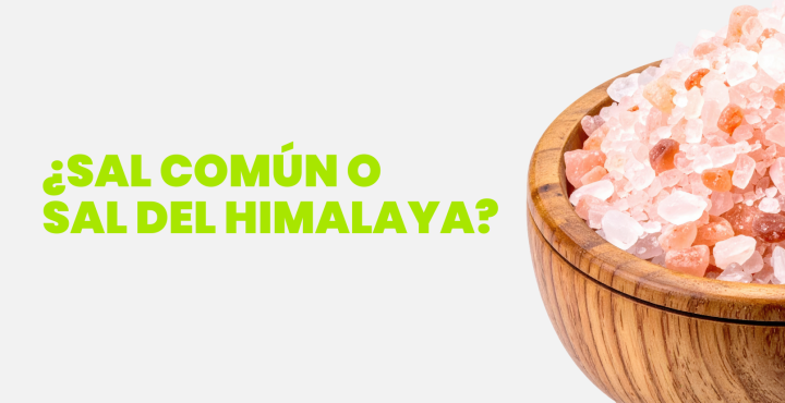 ¿Sal común o Sal del Himalaya?