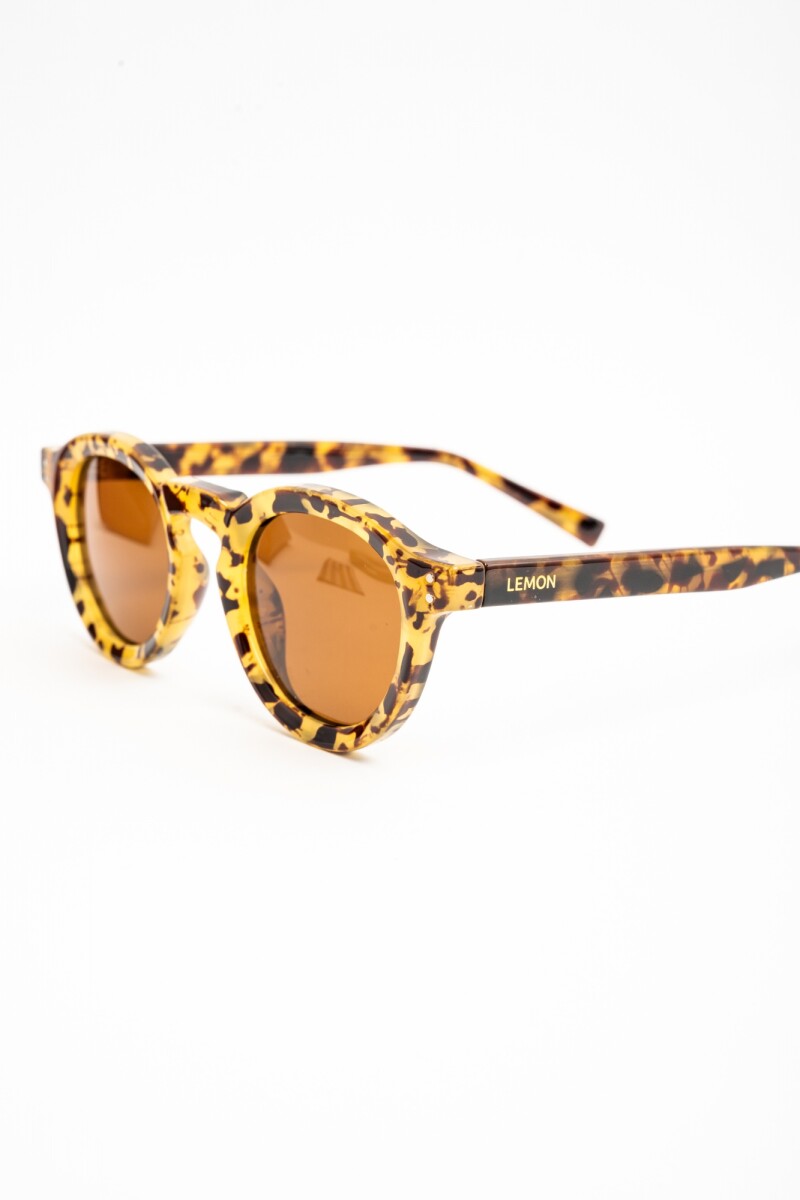 Lentes De Sol Polarizados Carey