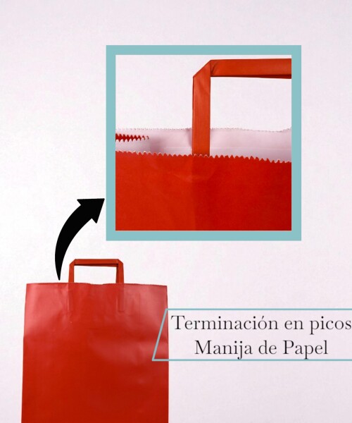 Bolsa lisa acuario 30x12x41 cm ROJO