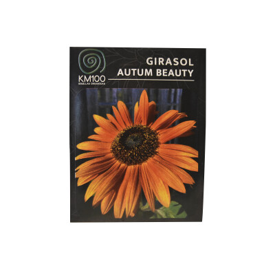 Semillas autocultivo de girasol autum beauty KM100 Semillas De Girasol Autum Bea