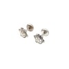 Abridores Tortuga - Plata 925 - Sin piedra-AB3029 Sinpiedra