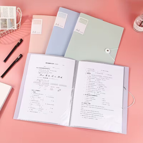 Carpeta A4 con 30 folios y elastico Lila