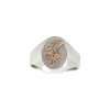 Anillo Profesión Maestra en Primera Infancia -Plata y Oro-Sin Piedra-AP5055 sinpiedra