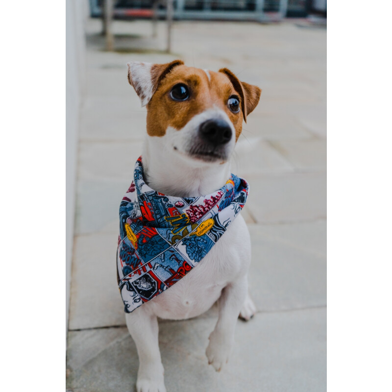 Bandanas para tu mascota Bandanas para tu mascota