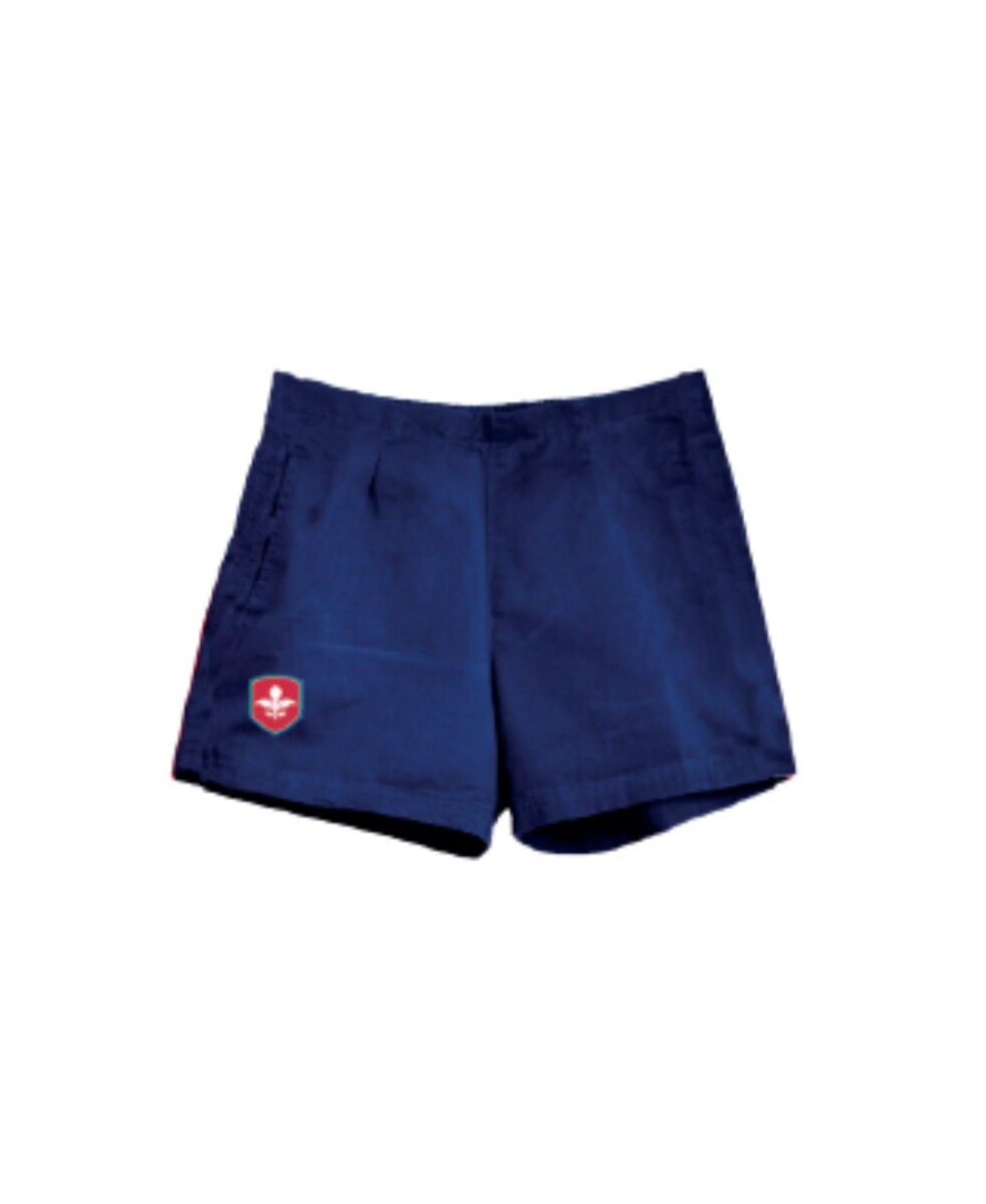 Darts Canvas Short - Navy 