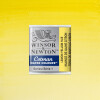 Acuarela Cotman - Winsor & Newton Tonos Amarillos