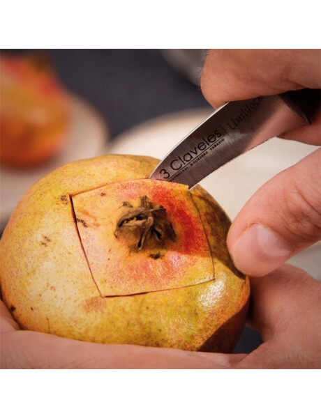 CUCHILLO MONDADOR 6CM MANGO NEGRO UNIBLOCK 3 CLAVELES CUCHILLO MONDADOR 6CM MANGO NEGRO UNIBLOCK 3 CLAVELES