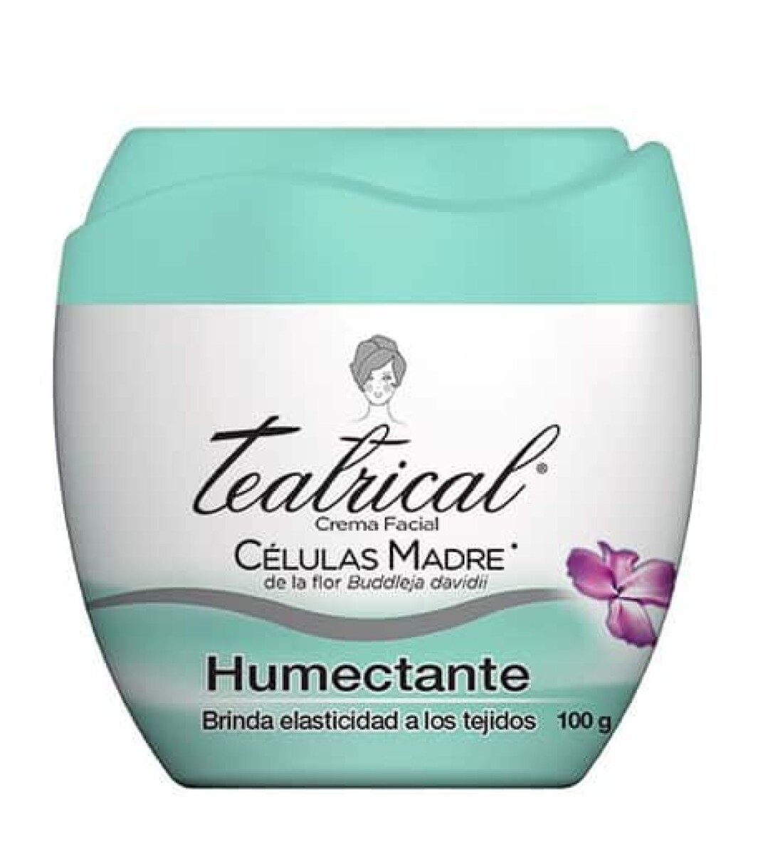 Crema Facial Teatrical Humectante 100g 