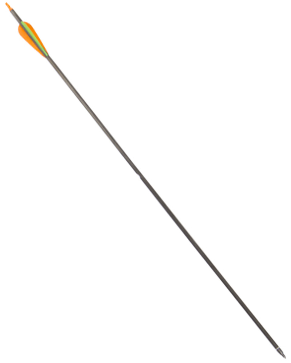 Flecha de Carbono Arye 