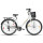Bicicleta de paseo Baccio Liberty 6V Vintage rodado 26 con 6 cambios, canasto y parrilla Blanca