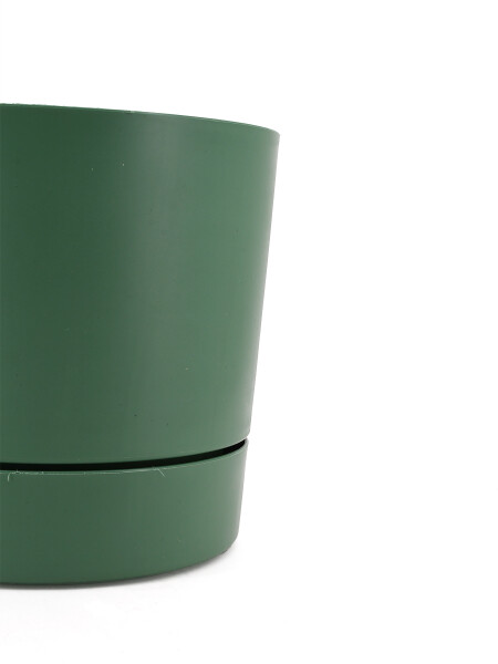 MACETA BEGONIA VERDE