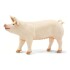 Safari Pig Cerdo Lindo Animal Chancho Figura Coleccion Safari Pig Cerdo Lindo Animal Chancho Figura Coleccion