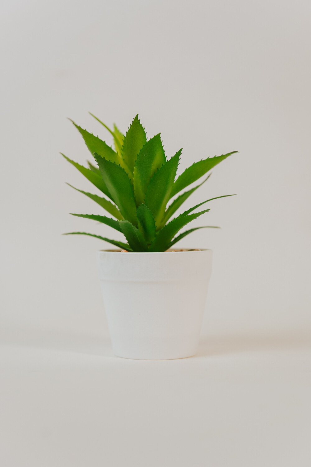Planta Suculenta Artificial Estampado 5