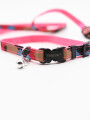 CORREA Y COLLAR SET ROSADO