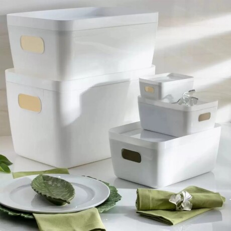 Cesto Organizador c/Tapa Idealle Canasto Plástico 41x32x17Cm Gris