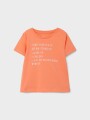 Camiseta Estampada Manga Corta Peach Echo