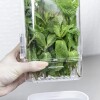 Portahierbas para refrigerador Tramontina Organizzare de 1,2 litros Portahierbas para refrigerador Tramontina Organizzare de 1,2 litros