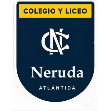 Buzo Deportivo Colegio Neruda