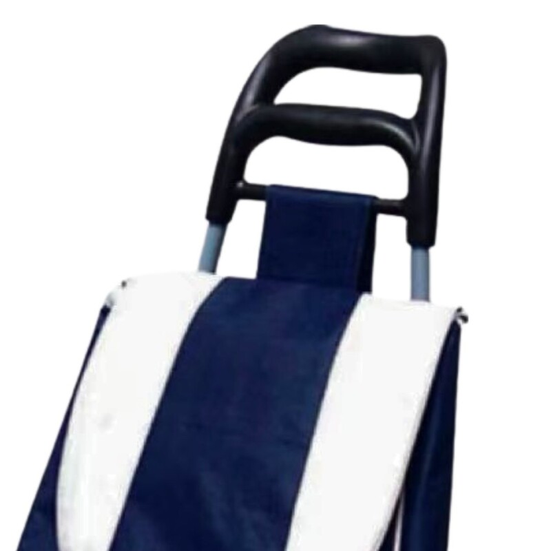 Carro de Compras con Ruedas para Mandados Azul