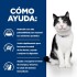 LATAS HILL´S I/D GATOS CUIDADO DIGESTIVO 156 GRS LATAS HILL´S I/D GATOS CUIDADO DIGESTIVO 156 GRS