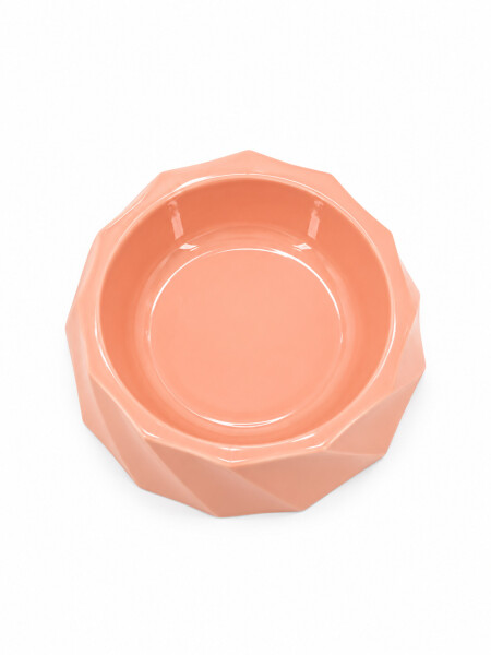 PLATO PARA MASCOTAS 2 O +