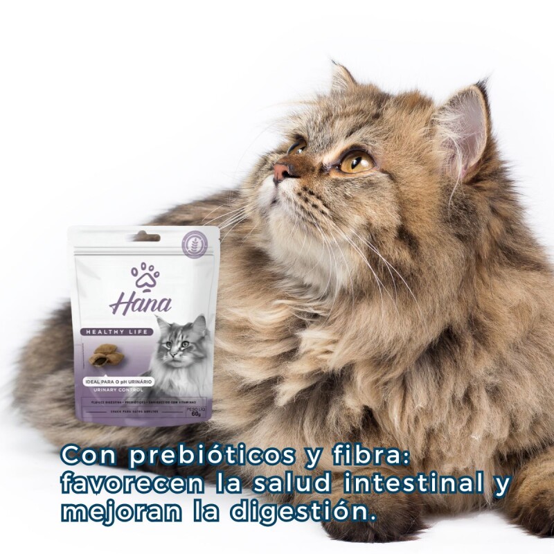 SNACK HANA CONTROL URINARIO PARA GATOS 60 GRAMOS SNACK HANA CONTROL URINARIO PARA GATOS 60 GRAMOS