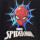 Remera estampa spiderman Spider-man Gris