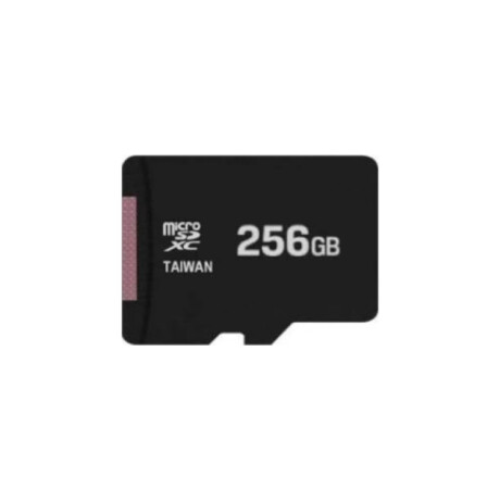 Memoria Micro Sd Oem 256gb Clase 3 001