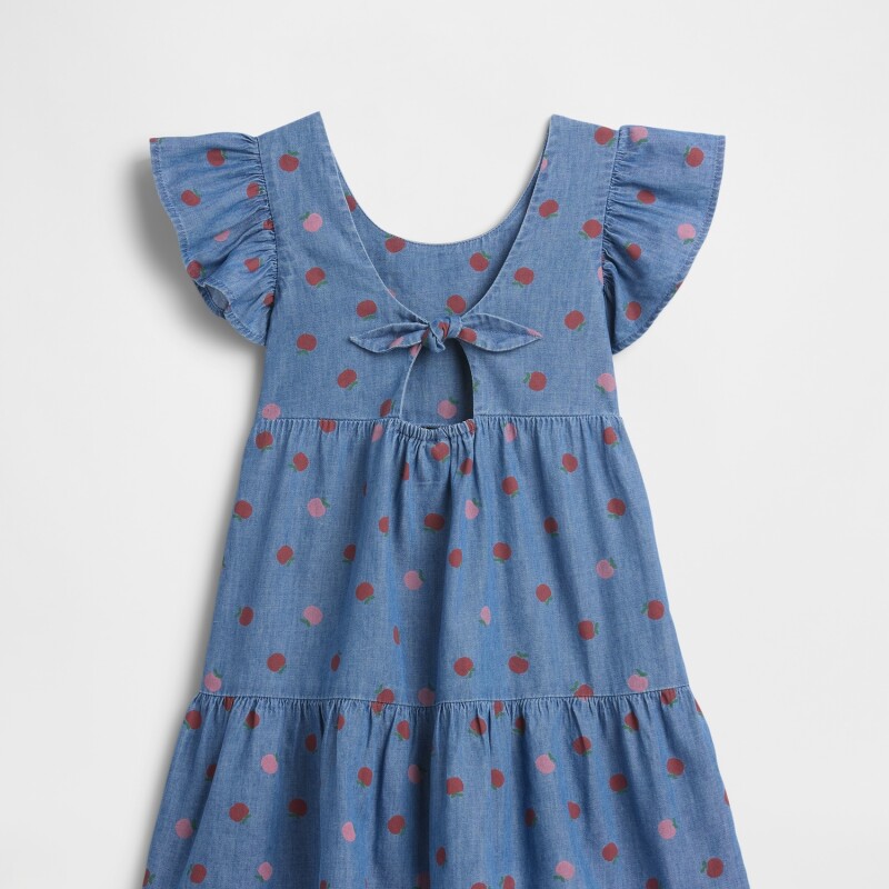 V-SL TIER DRESS CHAMBRAY 042