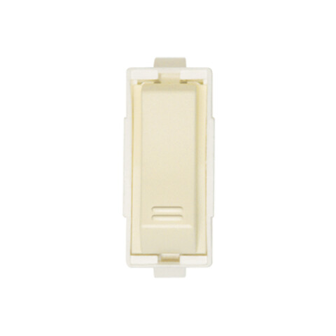 Módulo llave unipolar 10A 250V - Visione marfil C52102