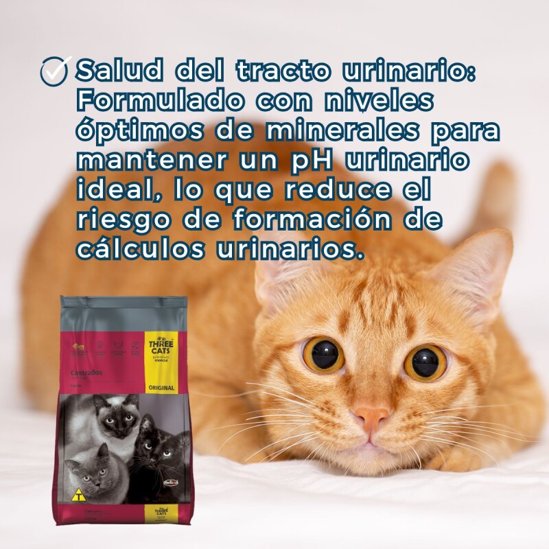 THREE CATS CASTRADOS 1 KG SUELTO THREE CATS CASTRADOS 1 KG SUELTO