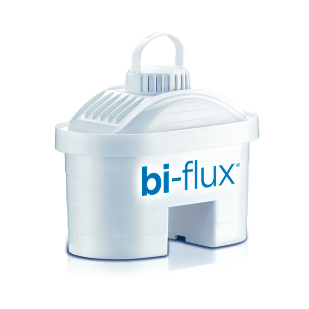 Filtro Bi-Flux Laica 30 Días 