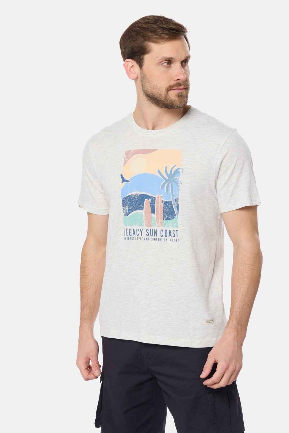 REMERA ESTAMPADA Gris