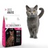 EQUILIBRIO GATOS ADULTOS 7.5 KG + 750 G DE REGALO