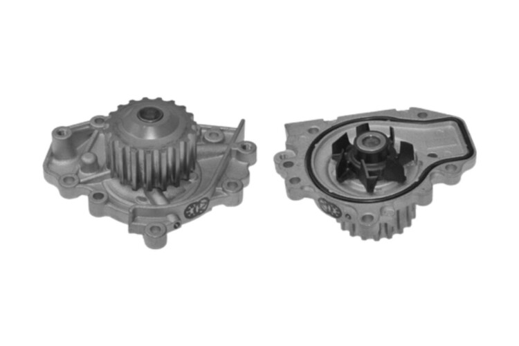 Bomba Agua s/Carcaza Honda Crv 95-01 Bomba Agua s/Carcaza Honda Crv 95-01