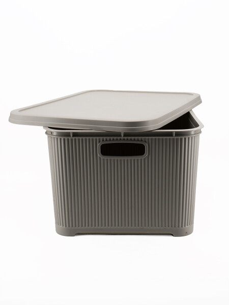 CAJA ORGANIZADORA CON TAPA BEIGE