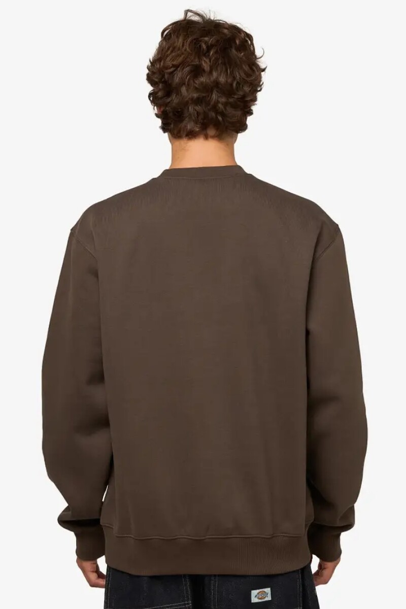 Carhartt Sweat Marron