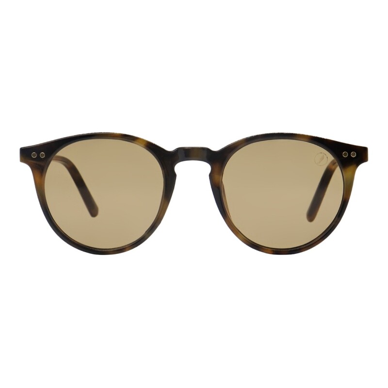Lentes de Sol Chilli Beans Toronto Animal Print
