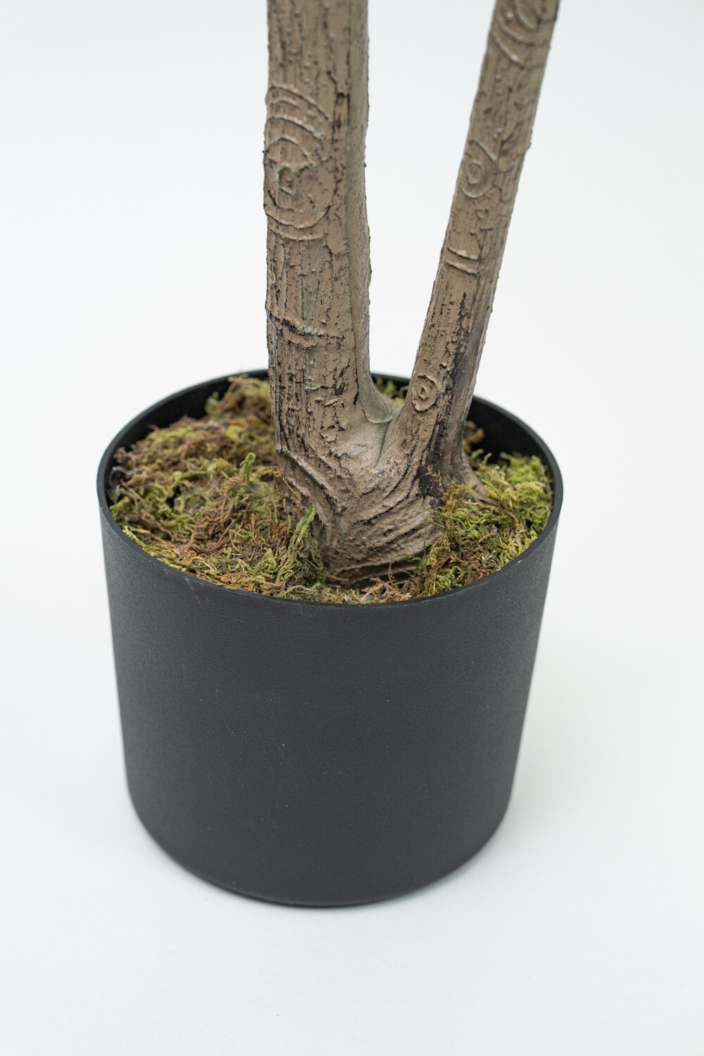 Planta Higuera 160cm Color Unico