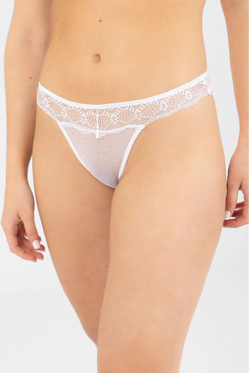 Colaless zinnia - Blanco 