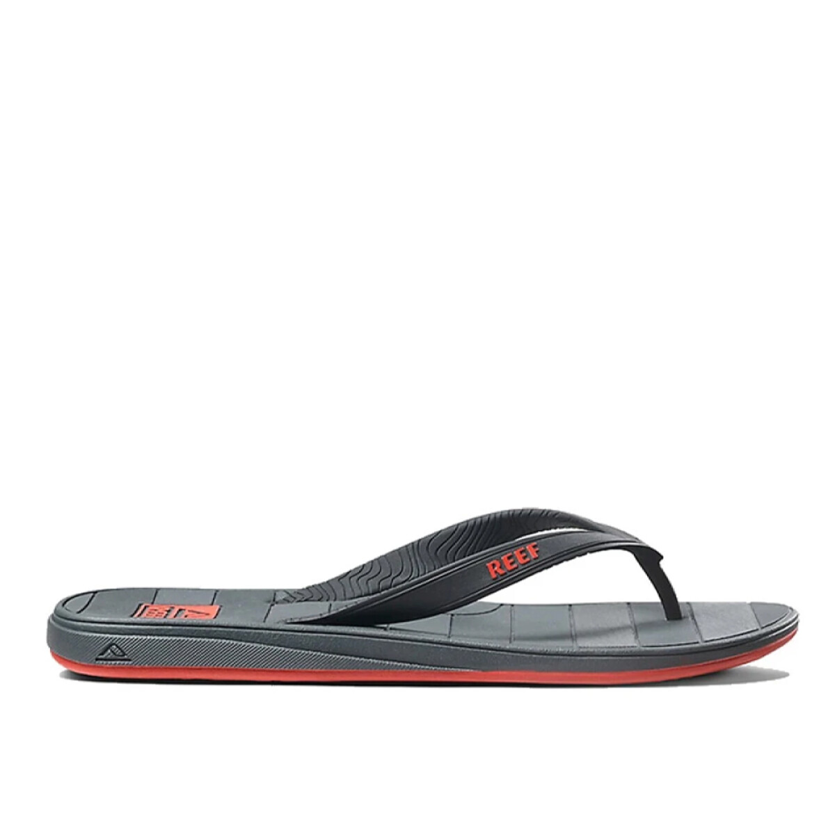 Ojotas Reef Switchfoot Grey/Red 