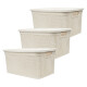 Set x3 Caja simil ratán 15 lts BEIGE