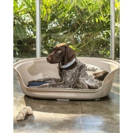 Cama para Mascota Perro o Gato con Colchón Rimax Taupe