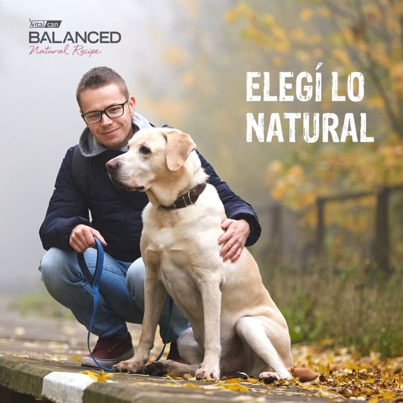 VITALCAN BALANCED EXCLUSIVE PERROS ADULTOS CERDO 15KG MÁS 3K DE REGALO